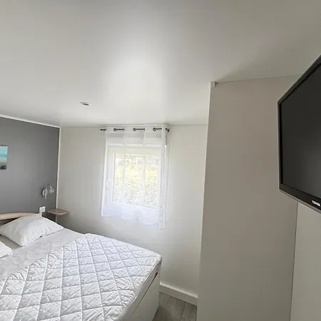 Chalet Luxe 3 Chambres, Jacuzzi, Piscine Et Parking à 12 Km Des Sables D'olonne - Fr-1-197-608 Sainte-Foy (Vendee)